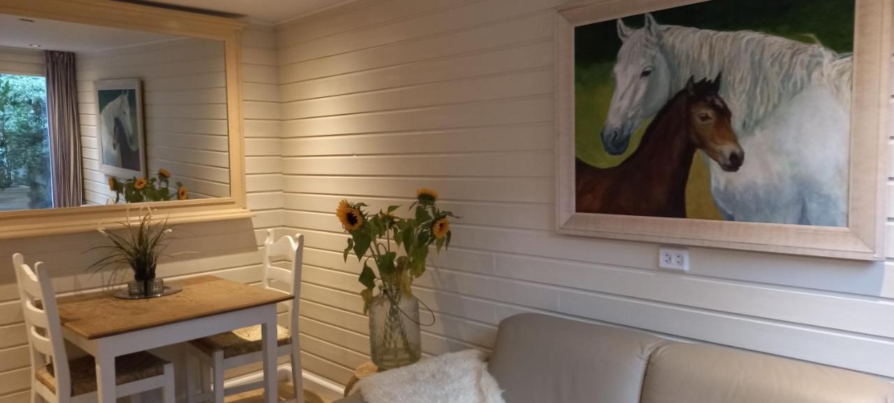 Chalet Le Papillon Zandvoort Esterno foto